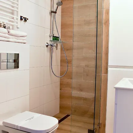 Dwupoziomowy Na Stoku - Apartamentuj 公寓 卡尔帕奇